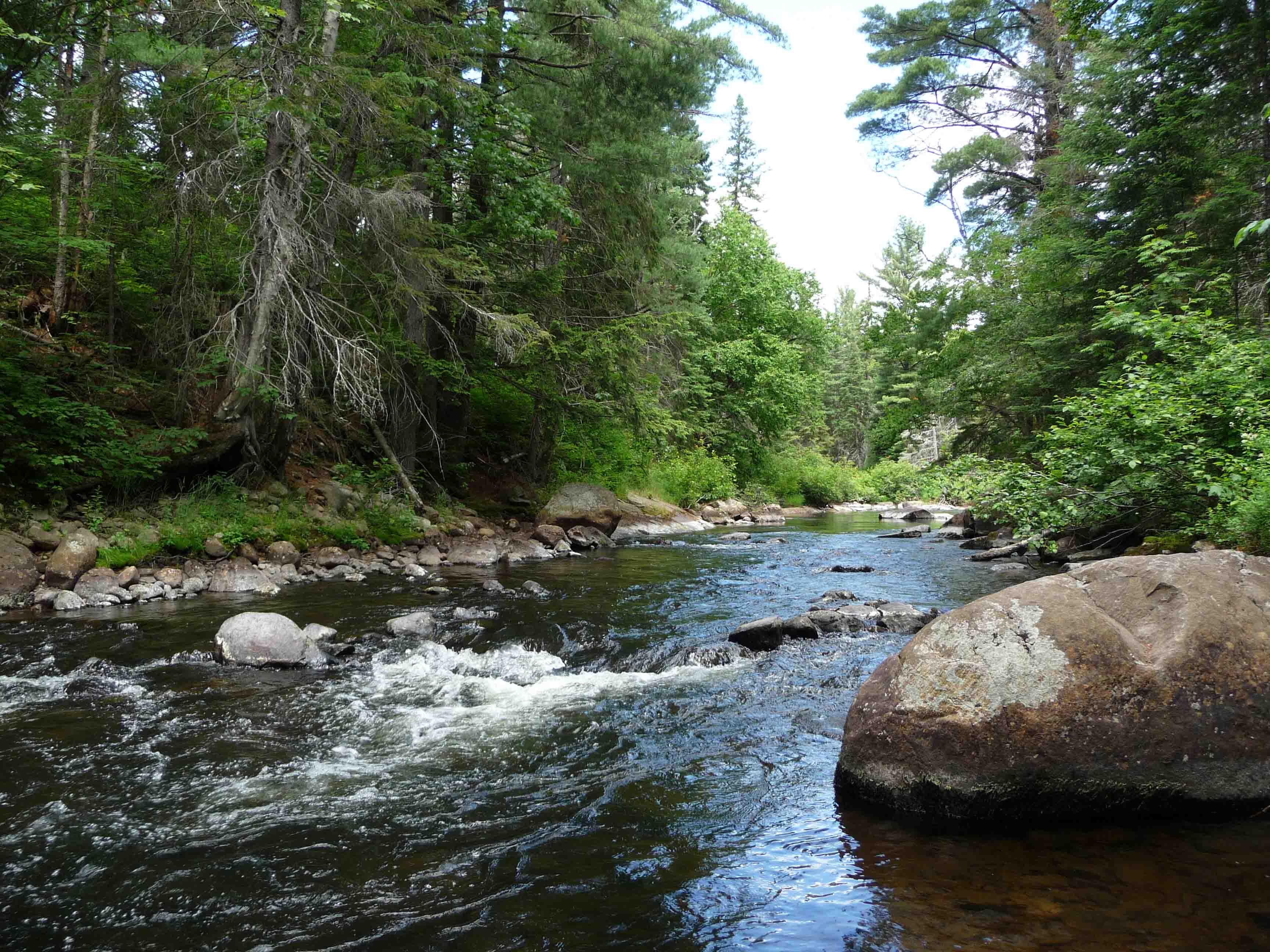 River in the Algonquin Park walking trail Whiskey Rapids